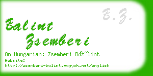 balint zsemberi business card